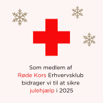 Webdiplom jul